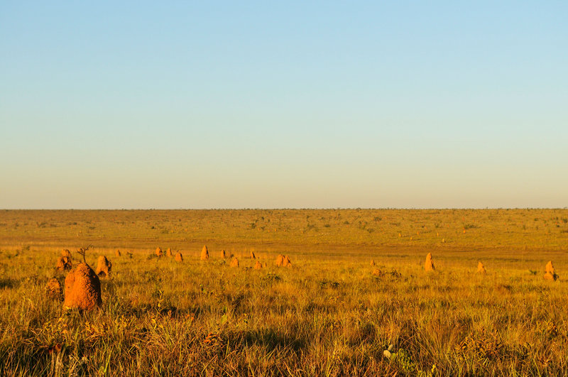 Afrika Der Ungezähmte Kontinent Afrika Der Ungezähmte Kontinent