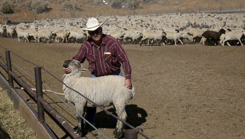 Idaho - Wildwest mit deutschen Wurzeln – Bild: BR/​NDR/​RS-Film/​Michael Schumacher
