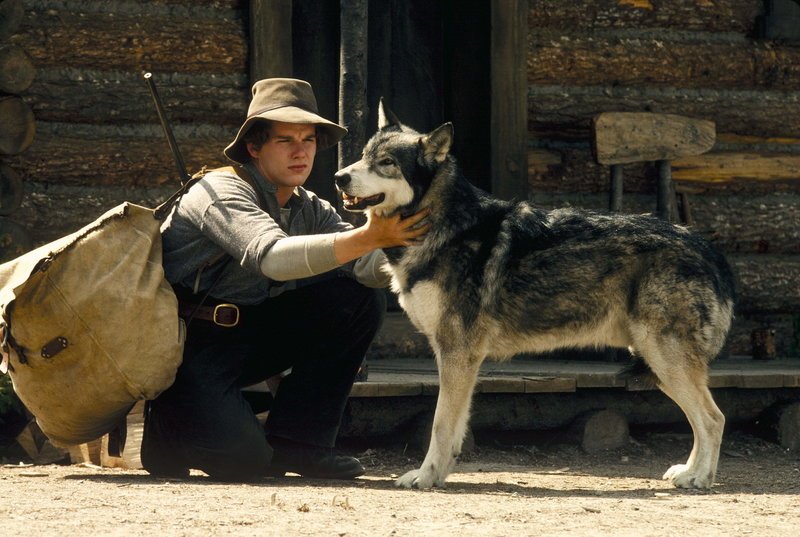 Der zahme Hund ‚Wolfsblut‘ hat Jack (Ethan Hawke) das Leben gerettet. – Bild: Disney Channel