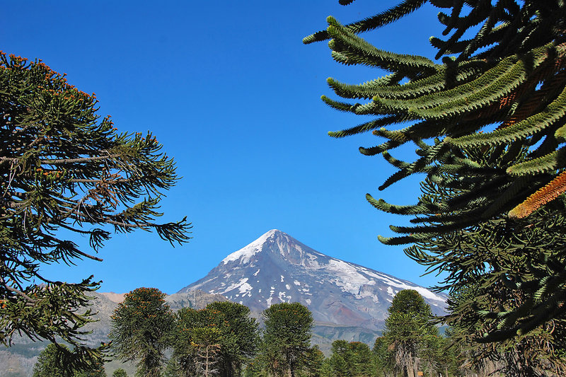 Abenteuer Patagonien – Bild: ZDF /​ © Spiegel TV/​Christopher Gerisc