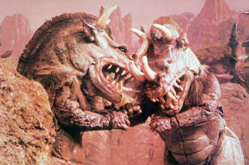 Der sechste Kontinent – Bild: ZDF und Amicus