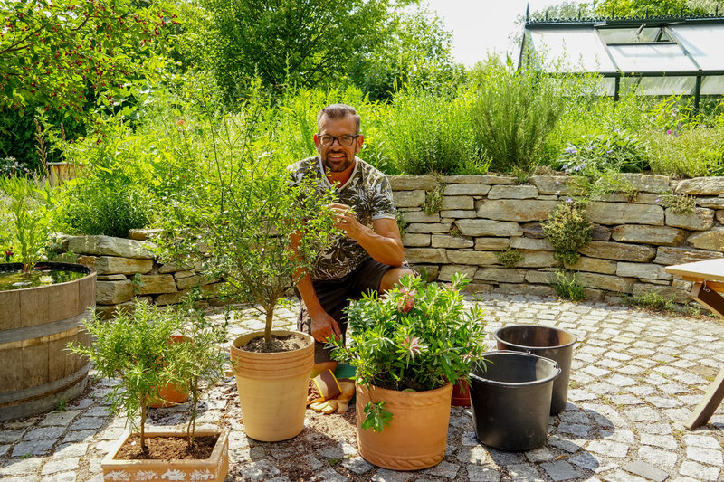 41+ Natur Im Garten Fernsehserien, Infos und fotos zu ihrer serie.