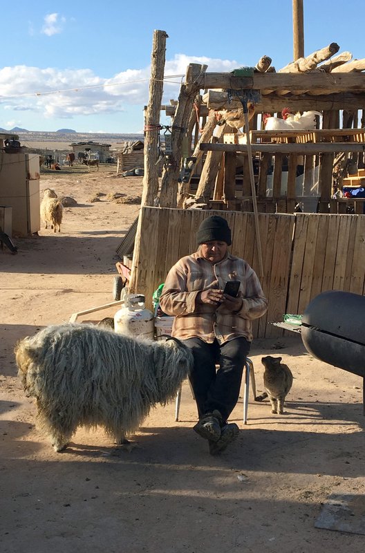 Unter Cowboys und Navajos – Bild: phoenix/​ARD-Studio Washington