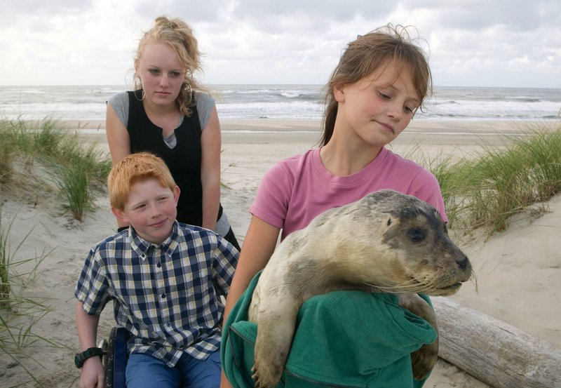 Der Seehund von Sanderoog – Bild: NDR/​NDR/​Thomas Kost