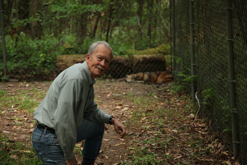 The Serengeti Rules - Die Macht des Gleichgewichts – Bild: NTV