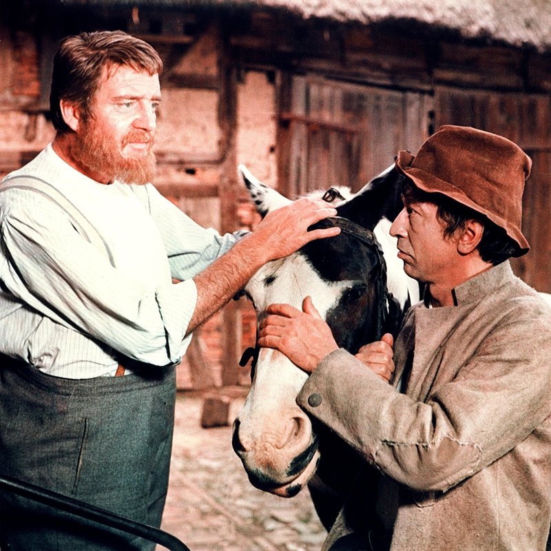 Der kleine und der große Klaus – Bild: MDR/​DRA