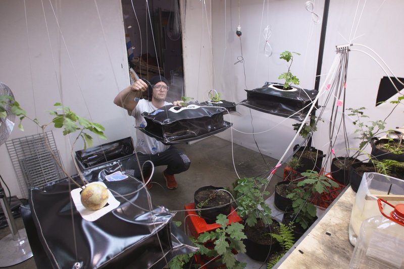 Sternstunde Kunst: Klimawandel in der Kunst – es gibt noch viel zu tun!
Künstler Andreas Greiner
SRF/​Kobalt Productions GmbH – Bild: SRF1