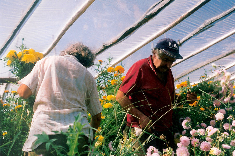 Pepe Mujica - Ein Präsident aus Uruguay – Bild: WDR
