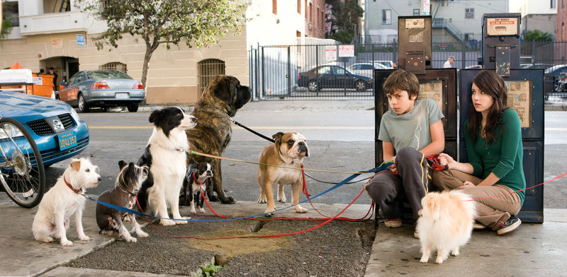 Das Hundehotel – Bild: ORF Das Hundehotel – Bild: ORF