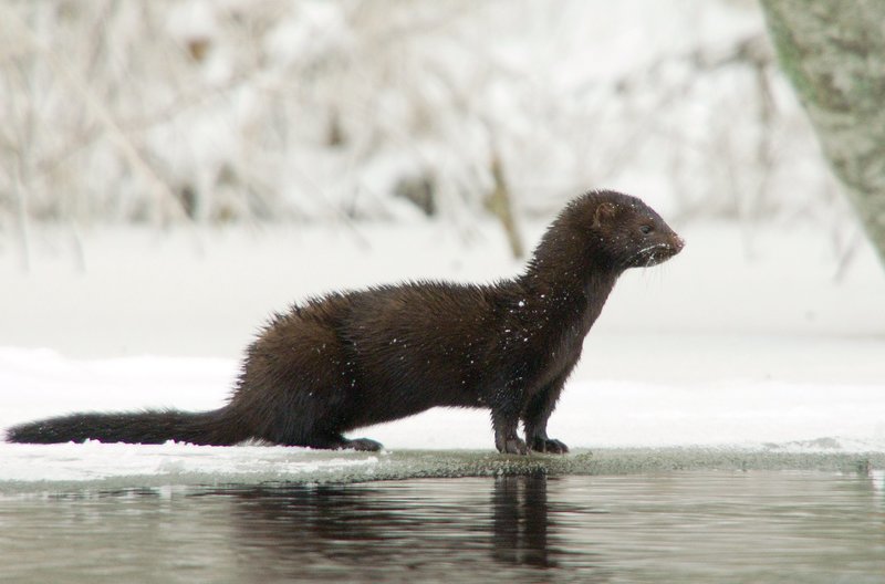 Im Reich der Wolga Dokumentation in 3 Teilen Episodenguide