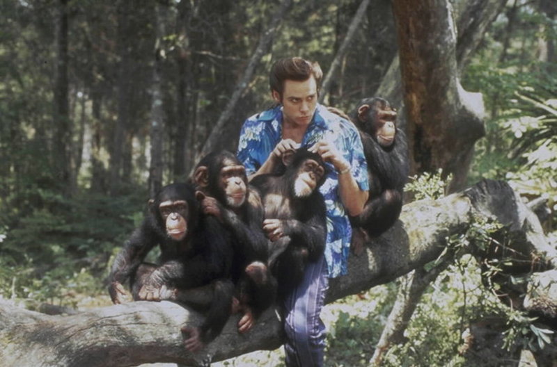 Haustierdetektiv Ace Ventura (Jim Carrey) wird beauftragt, einem afrikanischen Stamm die als heilig verehrte weiße Fledermaus wiederzubringen. Ein Nachbarstamm wird verdächtigt, sie gestohlen zu haben. – Bild: BILDNAME:17480h.jpg, ProSieben Media AG Haustierdetektiv Ace Ventura (Jim Carrey) wird beauftragt, einem afrikanischen Stamm die als heilig verehrte weiße Fledermaus wiederzubringen. Ein Nachbarstamm wird verdächtigt, sie gestohlen zu haben. – Bild: BILDNAME:17480h.jpg, ProSieben Media AG