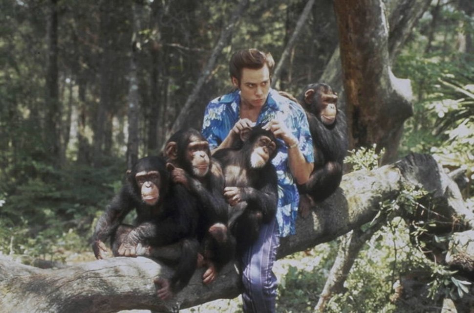 Haustierdetektiv Ace Ventura (Jim Carrey) wird beauftragt, einem afrikanischen Stamm die als heilig verehrte weiße Fledermaus wiederzubringen. Ein Nachbarstamm wird verdächtigt, sie gestohlen zu haben. – Bild: BILDNAME:17480h.jpg, ProSieben Media AG