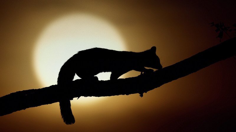 . – Bild: Planet . – Bild: Planet