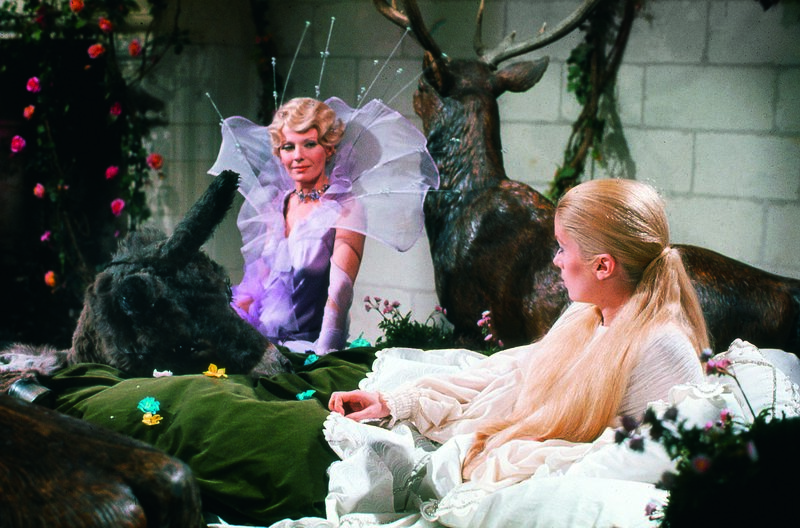 Eselshaut – Bild: arte