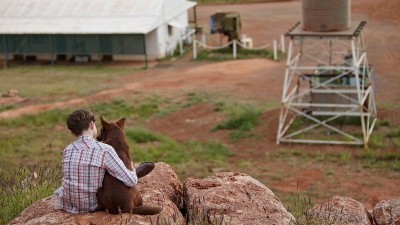 Red Dog Levi Miller als Mick mit Hund Red Dog SRF/Praesens Film – Bild: SRF2 Red Dog Levi Miller als Mick mit Hund Red Dog SRF/Praesens Film – Bild: SRF2