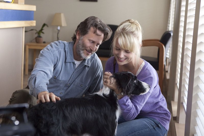 Ein Hund namens Duke – Bild: TMG