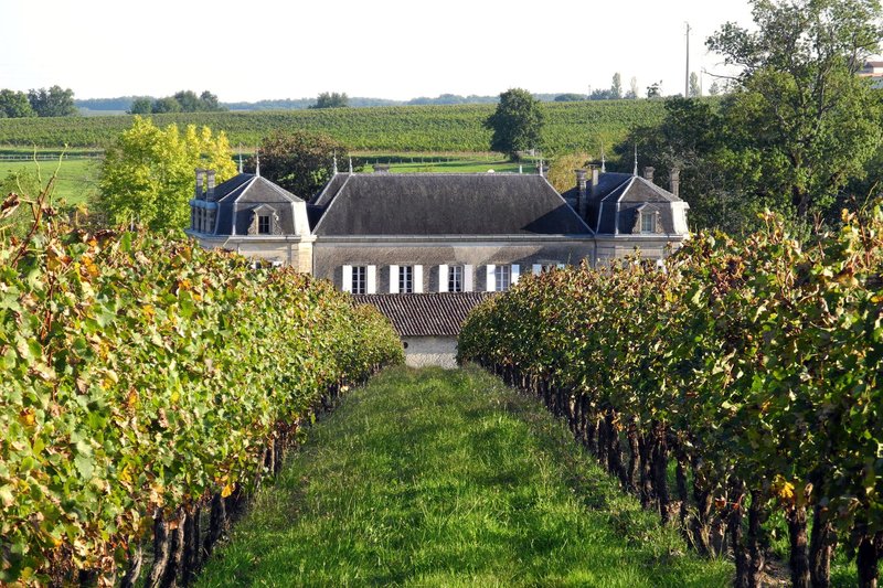 Bordeaux - Ferien im Weingut – Bild: NDR/​SWR/​Norbert Bandel