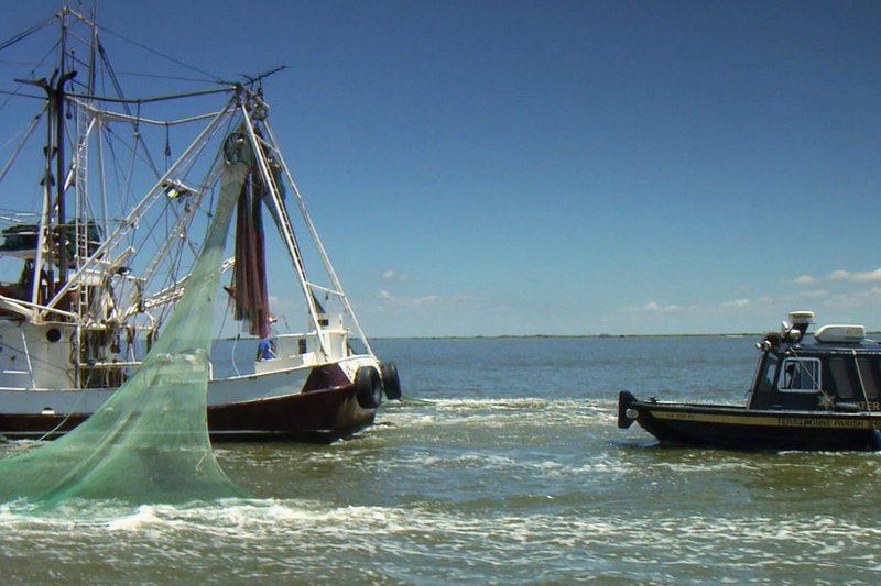 Geo 360 Louisiana – Land unter bei den Shrimp-Fischern Die Fischer im Mississippi-Delta befinden sich in zwiespältiger Lage SRF/​ARTE – Bild: SRF2