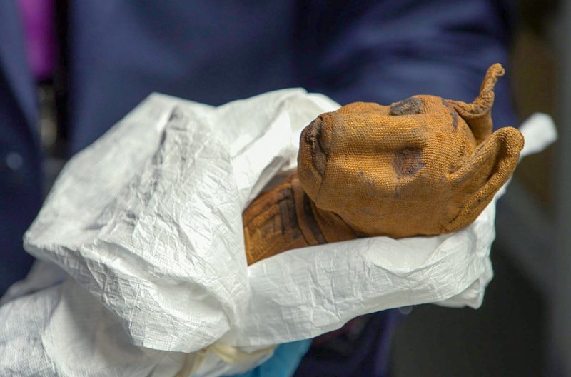 Katzenmumie im Manchester Museum: Der Kadaver wurde mit Mumienbinden möglichst naturgetreu nachgebildet. – Bild: 3sat