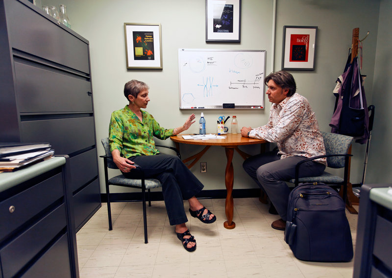 Plastic Planet – Bild: ORF