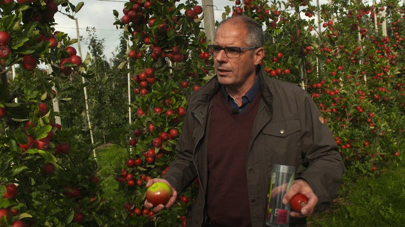 Jörg Hilbers erklärt das Konzept rund um den Snack-Apfel „Rockit“. – Bild: ZDF und Rainer Schmidt