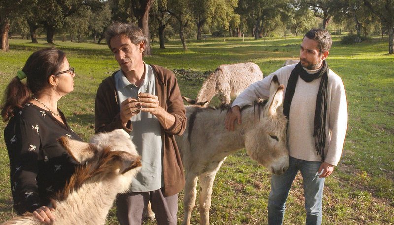 Unter Eichelbäumen und zwischen Eseln einer Urrasse der Iberischen Halbinsel mit Alfredo Sendim, dem Neffen eines Großgrundbesitzers und dem Maitre de cuisine Pedro Mendes. – Bild: SWR/SWR/Lourdes Picareta Unter Eichelbäumen und zwischen Eseln einer Urrasse der Iberischen Halbinsel mit Alfredo Sendim, dem Neffen eines Großgrundbesitzers und dem Maitre de cuisine Pedro Mendes. – Bild: SWR/SWR/Lourdes Picareta