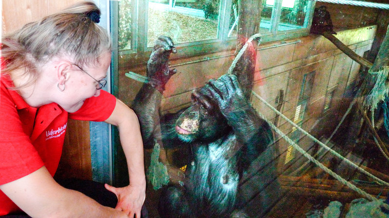 Unter Menschen – Bild: hr-fernsehen