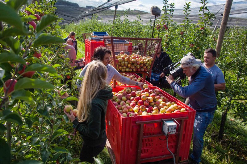 Genussland Steiermark – Bild: ORF