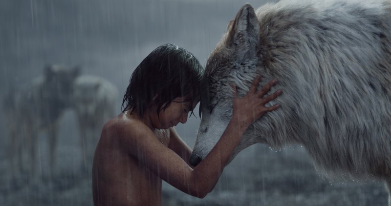 Mogli (Neel Sethi). – Bild: Disney Enterprises, Inc. Mogli (Neel Sethi). – Bild: Disney Enterprises, Inc.