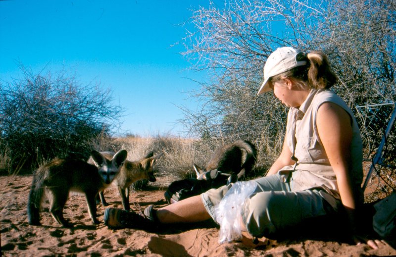 Tierärztin Margit Du Toit. – Bild: ORF Tierärztin Margit Du Toit. – Bild: ORF