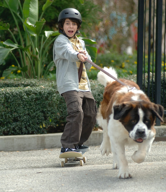 Beethovens großer Durchbruch – Bild: 2008 Universal Studios ALL RIGHTS RESERVED Lizenzbild frei