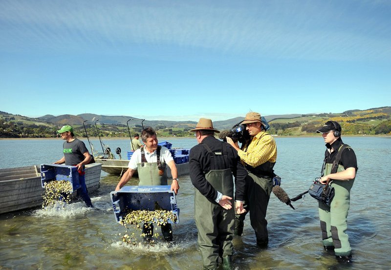Das ARD Team filmt Roger Belton auf der Muschelfarm Blueskin Bay. – Bild: PHOENIX/NDR/Frank Walbaum Das ARD Team filmt Roger Belton auf der Muschelfarm Blueskin Bay. – Bild: PHOENIX/NDR/Frank Walbaum