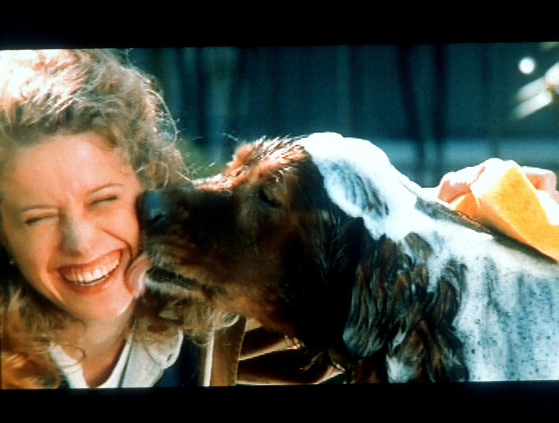 Fluke - Ein Hund ist auch nur ein Mensch – Bild: RTL II