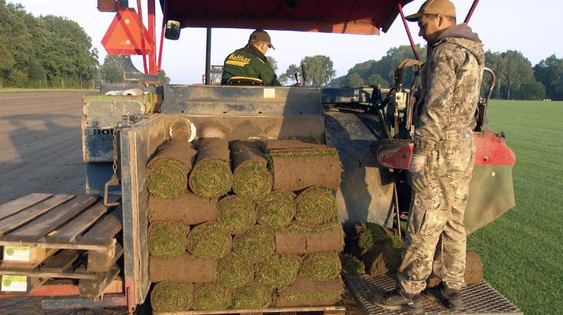 Wie geht das? 214: Unser Rasen – fernsehserien.de