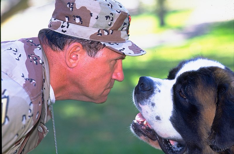 Beethoven - Doppelt bellt besser – Bild: ZDF und Marsha Blackburn