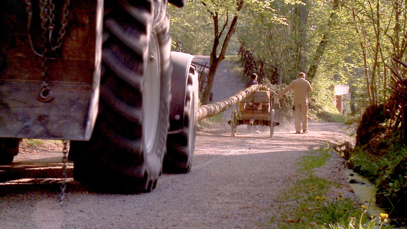Maibäume - die Boten des Frühlings – Bild: ORF