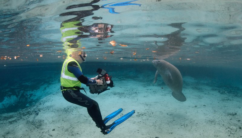 Hamiltons Abenteuer – Bild: WDR/​Natalia Pryanishnikova