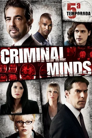 Criminal Minds Staffel 5 Episodenguide Fernsehserien De