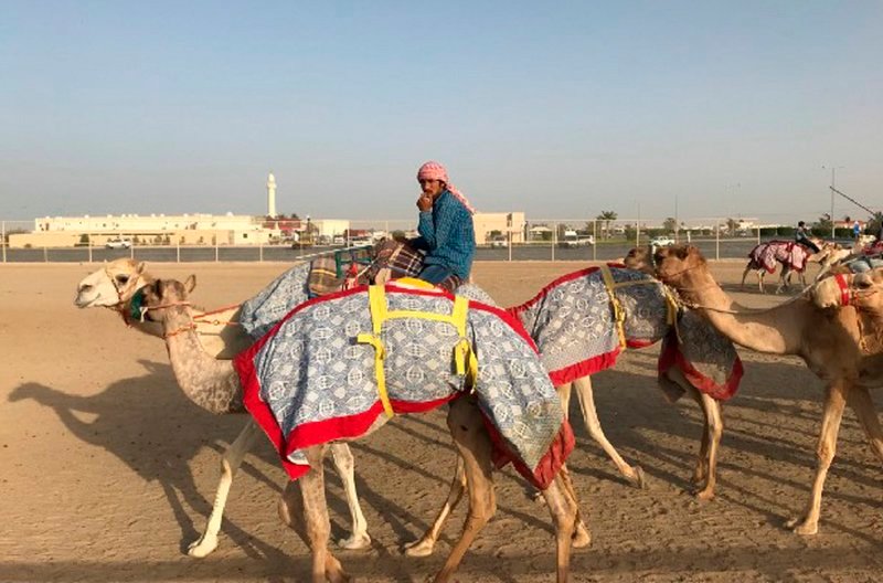 Der arabische Wüstenstaat zeigt sich gefangen zwischen Tradition und Moderne. – Bild: phoenix/ZDF/Maik Gizinski Der arabische Wüstenstaat zeigt sich gefangen zwischen Tradition und Moderne. – Bild: phoenix/ZDF/Maik Gizinski