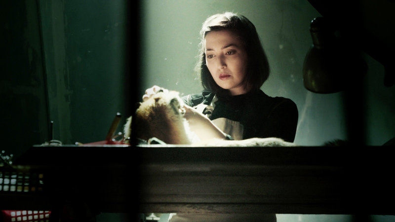 Tote Tiere – Bild: SRF2