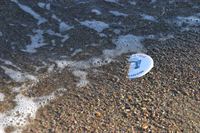 (K)Ein fast perfekter Mord – Bild: kabel eins (K)Ein fast perfekter Mord – Bild: kabel eins