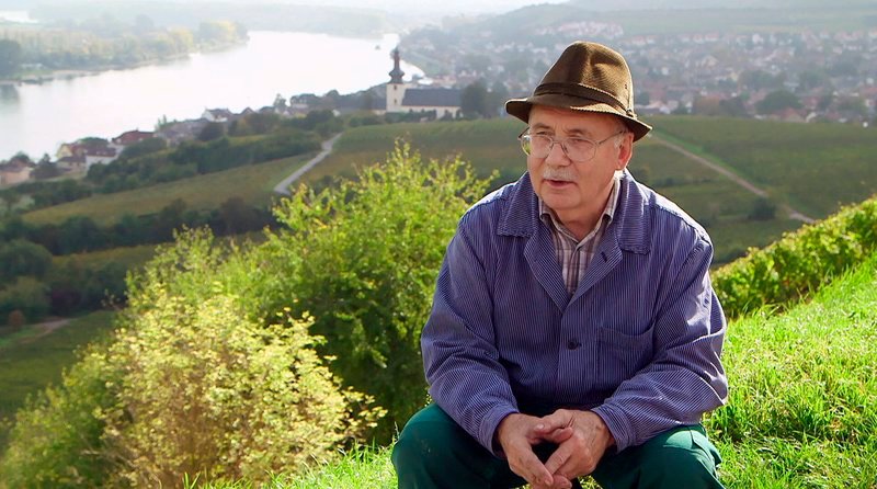 Winzer Klaus Wehrheim aus Nierstein war schon als Kind im Herbst bei der Traubenlese dabei. Er ist stolz, als er seine erste Bütte auf dem Rücken voll mit Trauben aus dem Weinberg tragen darf. In guter Erinnerung ist ihm auch der Zusammenhalt der Helfer bei der Ernte. – Bild: SWR