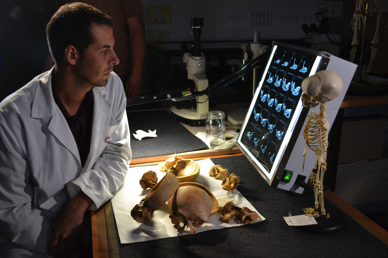 Das dunkle Geheimnis der Neandertaler – Bild: ARTE France /​ © Terra Mater Factual Studios