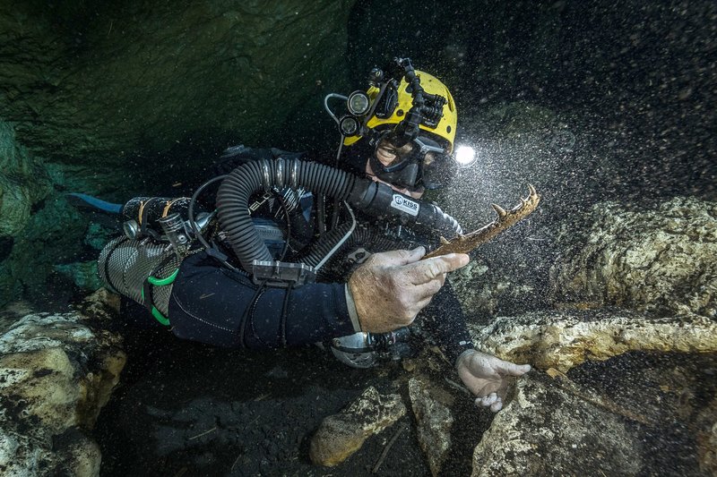 Abenteuer Karibik – Bild: Phoenix