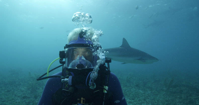 Fluss Monster Staffel 7