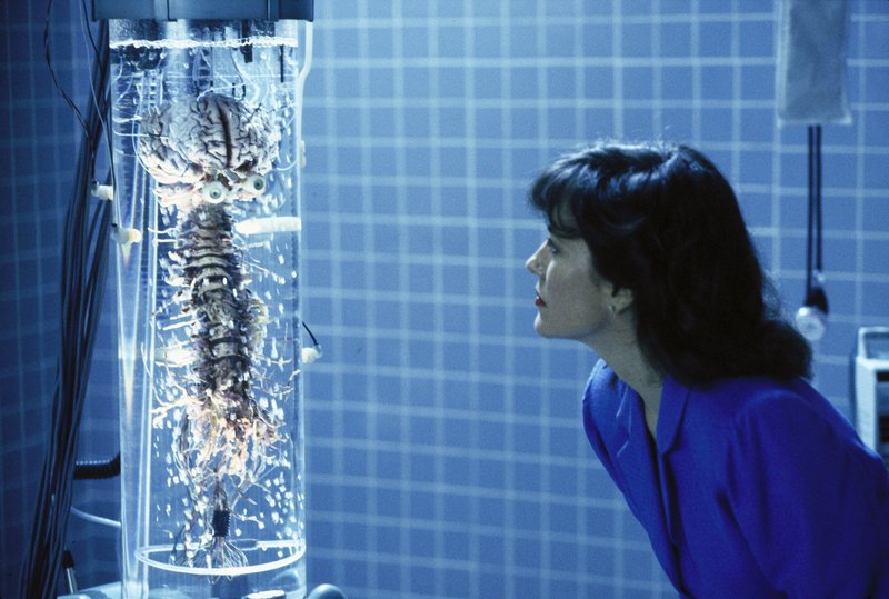 RoboCop 2 – Bild: TMG