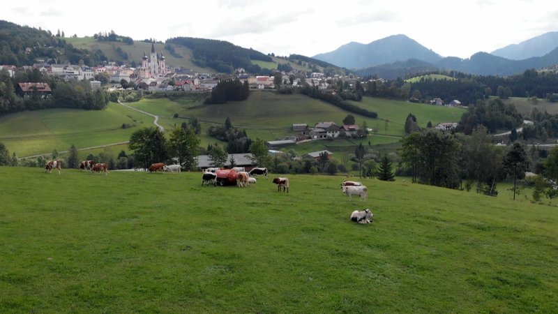 Blick auf Mariazell. – Bild: ORF Blick auf Mariazell. – Bild: ORF