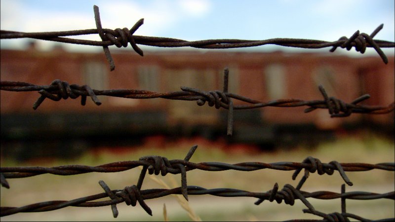 Barbed wire – Bild: ORF