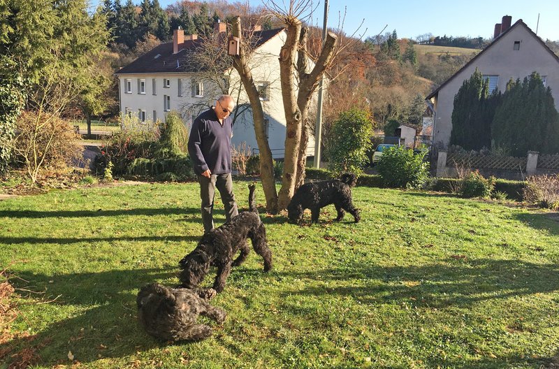 Hundezüchter Winfried Beyer mit Bouvier des Flandres-Hündinnen Fenia, Gundi und Ika aus Bolanden, Pfalz. – Bild: SWR/​Mouhcine El Ghomri