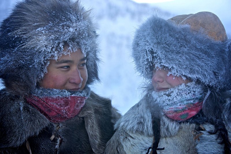 Der Junge und der Wolf – Bild: ZDF und ARD Degeto/​Kasia Wandycz